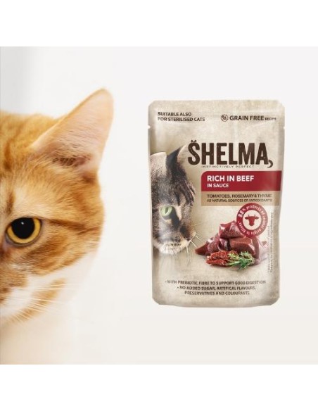 Wołowe bezzbożowe fileciki dla kota Shelma, 85 g 8595606406698 15