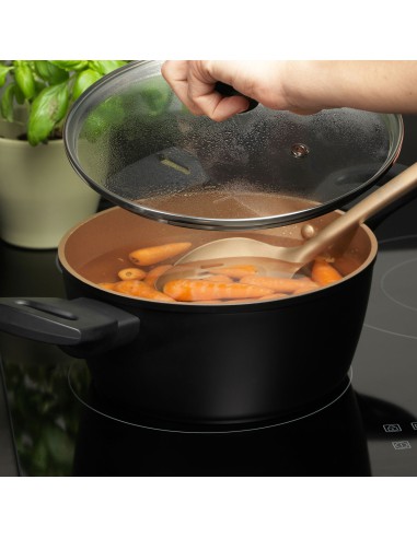 Garnek z pokrywką o równomiernym rozkładzie ciepła Russell Hobbs Opulence 20cm 5054061445800 4