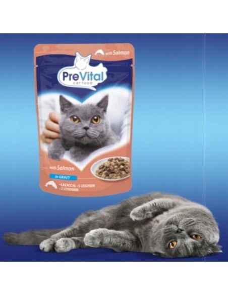 Karma z łososiem mokra dla kotów dorosłych łosoś 12x100g PreVital 5999546170436 2