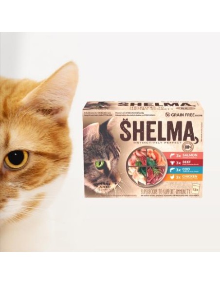 Mokra karma dla kotów Mix smaków bezzbożowe fileciki Shelma 48x85 g 8595606406759 6