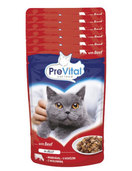 PreVital zestaw saszetek mokrej karmy dla kota Mix smaki mięsne 24 x 100g 5999546172768 5