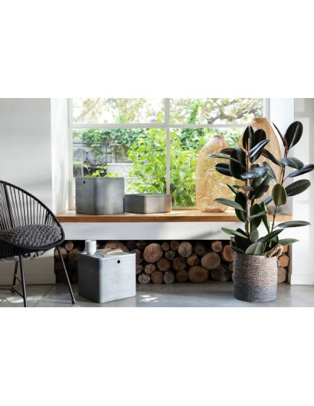 Pojemnik 8l z pokrywką do przechowywania Curver Beton 7290112632104 2