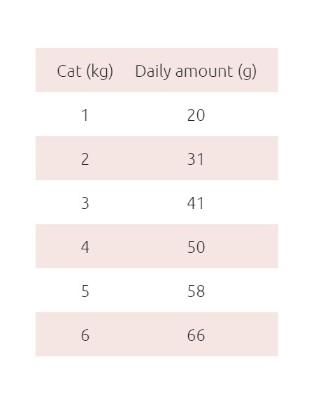 Bezzbożowa karma dla kotów sterylizowanych Shelma, łosoś 750 g 8595606405288 4