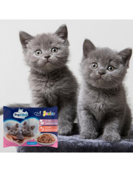 Karma dla kociąt mokra i sucha Mix smaków PreVital Junior - Karma dla kota Karma dla kociąt mokra i sucha Mix smaków PreVital Junior 5999566110191 5