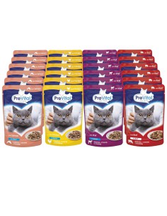 Wielopak karmy dla kota Mix smaków mięso ryba 120x100g PreVital 5999508137996 2