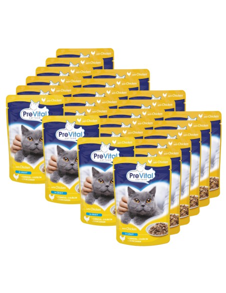 120 saszetek dla kota Mix smaki mięsne 120x100g PreVital 5999546172768 3