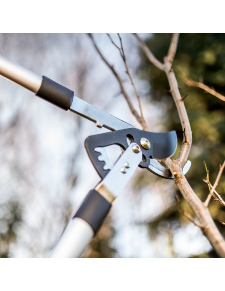 Prosty nożycowy sekator Cellfast IDEAL - Nożyce, sekatory, piły Prosty nożycowy sekator Cellfast IDEAL 5907553507640 6