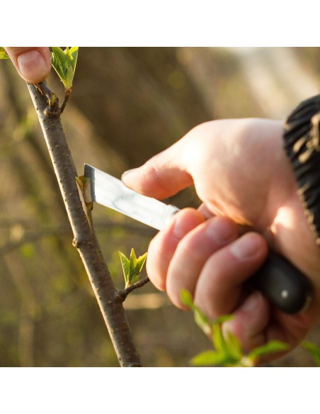 Nóż ogrodowy - okulizak Cellfast 5907512604977 10