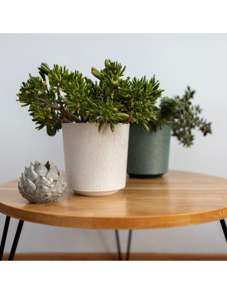 Awokadowa Donica GAMA 190 + t/k63 Lamela 5900119020119 3