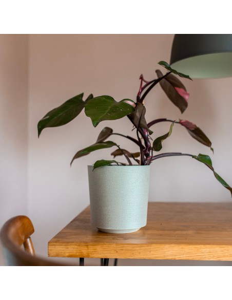 Awokadowa Donica GAMA 190 + t/k63 Lamela 5900119020119 7