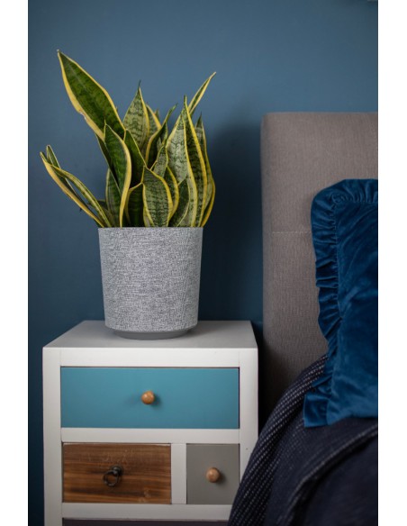 Bordowa Donica GAMA 250 + t/k67 Lamela 5900119090129 4