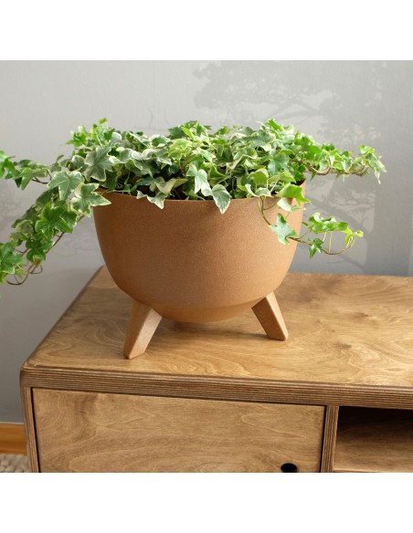 Zielony leśny misa Roma Eco wood owalna 430 Lamela - Kosze i osłonki na donice Zielony leśny misa Roma Eco wood owalna 430 Lamela 5900119429240 8