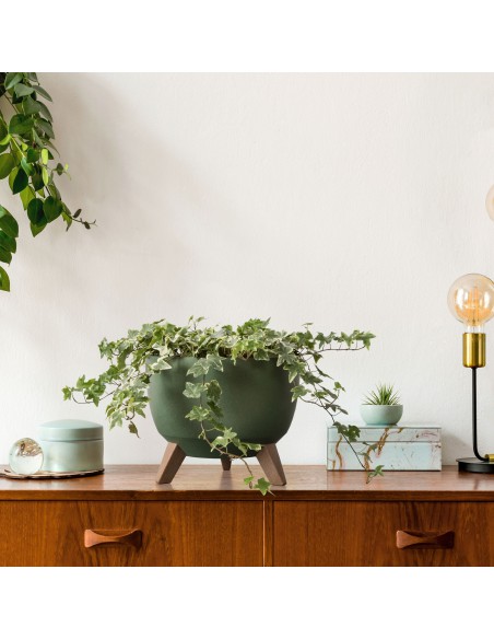 Zielony leśny misa Roma Eco wood owalna 430 Lamela - Kosze i osłonki na donice Zielony leśny misa Roma Eco wood owalna 430 Lamela 5900119429240 10