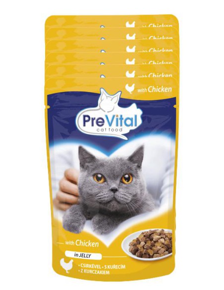 PreVital zestaw saszetek mokrej karmy dla kota Mix smaki mięsne 24 x 100g 5999546172768 14