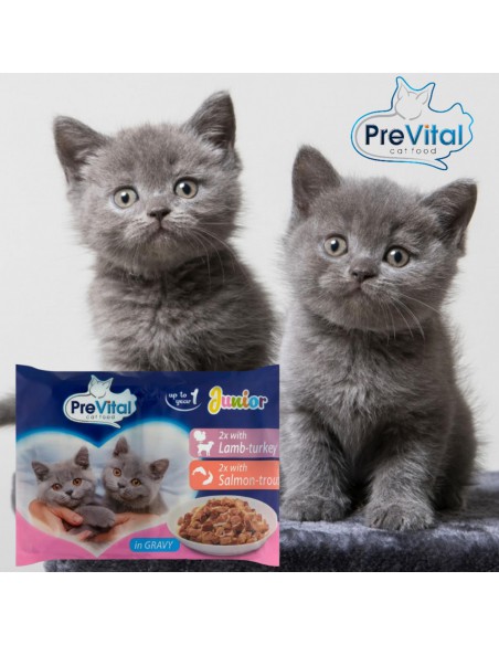 Karma mokra dla kociąt Mix smaków  52 x 100g PreVital Junior 5999566110191 14