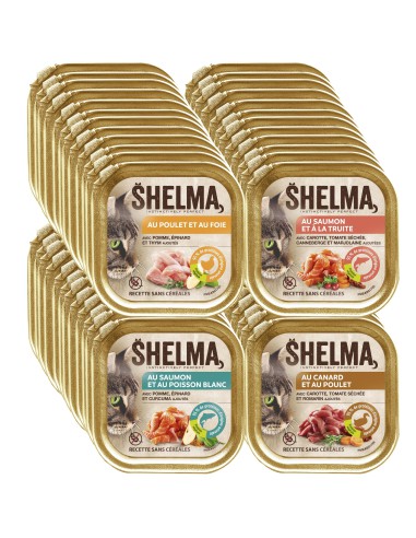 Smakowity mix dla kotów mięso i ryba pasztet Shelma Alucup 24x100g 8710558002419 3