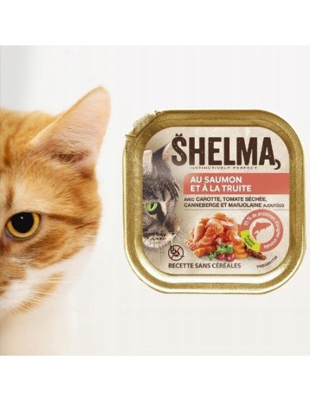 Smakowity mix dla kotów mięso i ryba pasztet Shelma Alucup 24x100g 8710558002419 4
