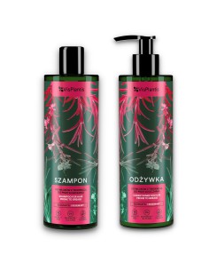 Zestaw Vis Plantis Szampon + odżywka do włosów z tendencją do przetłuszczania się 5904567058786
