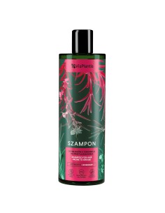 Szampon do włosów przetłuszczających się 400 ml Vis Plantis 5904567058786
