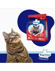 Sucha karma dla kotów dorosłych w wołowiną PreVital 300 g 5999566111228 2