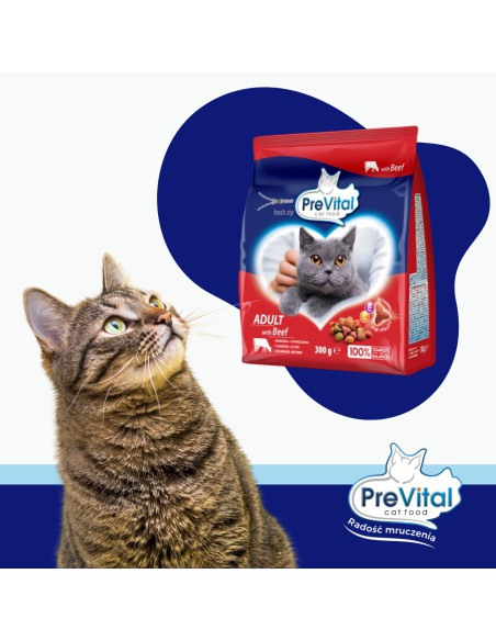 Sucha karma dla kotów dorosłych w wołowiną PreVital 300 g 5999566111228 2