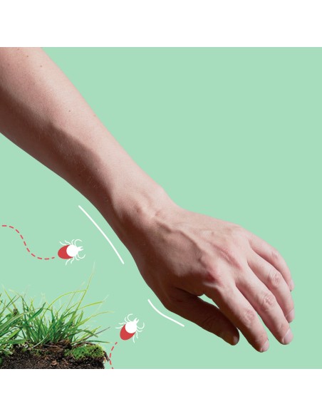 Duży zestaw aerozoli OFF! przeciw komarom i kleszczom 4x100ml + Żel Akut po ukąszeniach 25ml 5905718981076 7