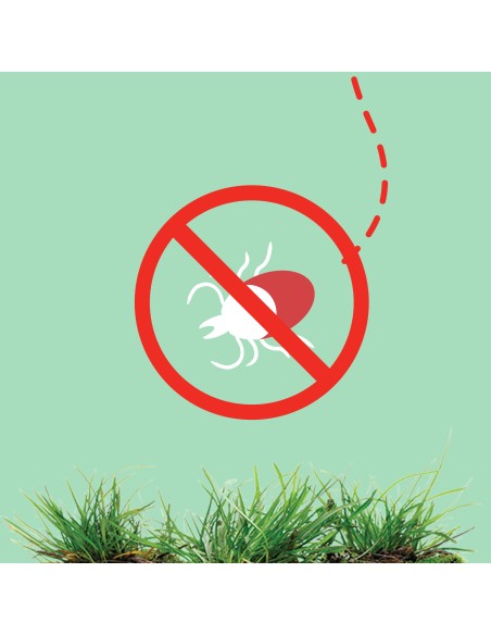 Nietłusty spray odstraszający komary i kleszcze OFF! Protect  3x100 ml 4000290908754 4