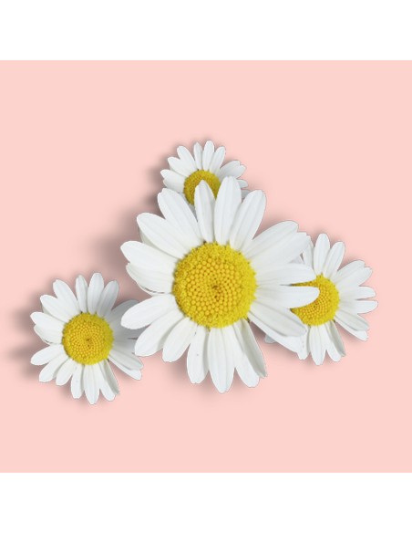 Suchy aerozol przeciw komarom dla całej rodziny OFF! Family Care 3x100 ml 5000204330151 4