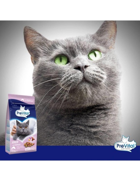 Sucha karma dla starszych kotów Prevital Senior, łosoś 1,4kg 5999566111198 2
