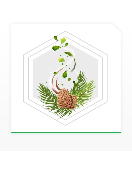 Żelowe zawieszki przeciw molom o zapachu cedrowym Raid 2x2 szt. 4000290902844 5