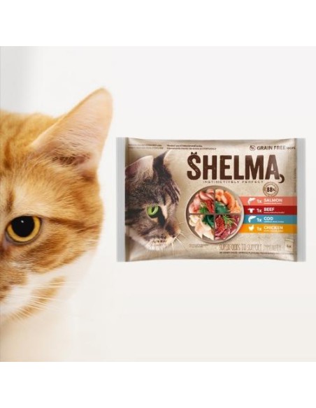 Zestaw bezzbożowych filecików dla kotów mix smaków Shelma, 4x85g - Mokra karma dla kota Zestaw bezzbożowych filecików dla kotów mix smaków Shelma, 4x85g 8595606406735 16