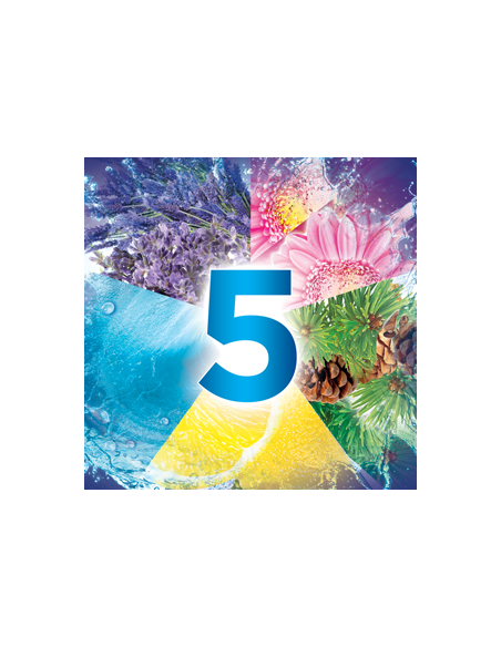 Zapachowe kostki do WC Bref Power Aktiv Sosnowy Las + Lawendowe 2x2x50g 9000101317077 3