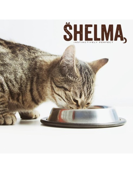 Bezzbożowa mokra karma dla kota Mega Box Shelma 40 x 85g, mix smaków 8595606409262 2