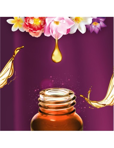 3x Zmiękczający koncentrat do płukania Silan Aromatherapy Fascinating Frangipani 3x 1364 ml 186 prań 9000101582642 3