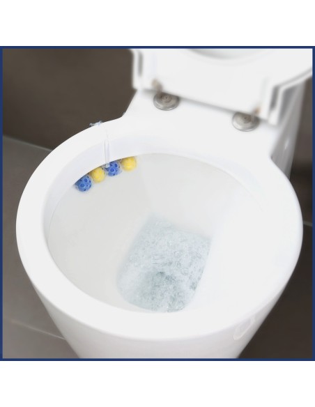 Duży zestaw zawieszek do WC Bref Power Aktiv Lemon 6x50g + Bref Power Aktiv Pine 6x50g - Zawieszki i krążki do WC Duży zestaw zawieszek do WC Bref Power Aktiv Lemon 6x50g + Bref Power Aktiv Pine 6x50g 9000101591965 9