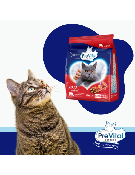 Sucha karma dla kota z wołowiną PreVital, 8x300 g 5999566111228 2