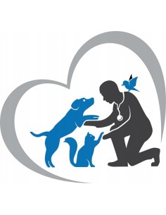 Mokra karma dla kota indyk z jagnięciną PreVital  - 12x puszka 415 g 5999566111808 2