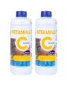 Witamina C w płynie do basenu Stapar Aqua fun, 2x1 L