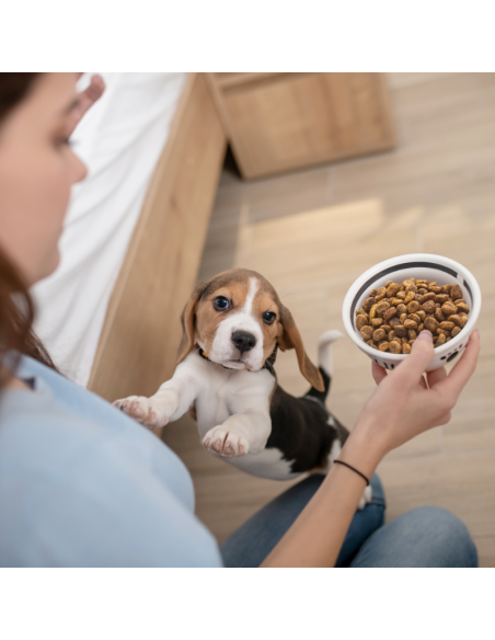 Naturalna karma sucha z łososiem i indykiem dla szczeniąt wszystkich ras Polaris 12 kg - Sucha karma dla psa Naturalna karma sucha z łososiem i indykiem dla szczeniąt wszystkich ras Polaris 12 kg 5999566110573 5