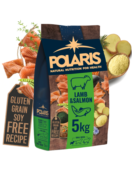 Bezzbożowa karma sucha z łososiem i jagnięciną dla dorosłych psów małych ras Polaris 5 kg - Sucha karma dla psa Bezzbożowa karma sucha z łososiem i jagnięciną dla dorosłych psów małych ras Polaris 5 kg 5999566110610