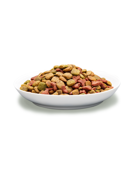 Sucha karma dla kotów sterylizowanych i niewychodzących z indykiem Prevital 8 kg 5999566111976 3