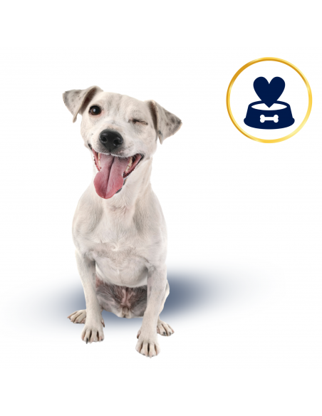 Mokra karma dla psa Polaris 20 x 400 g, wołowina +  jagnięcina 8595606409446 7