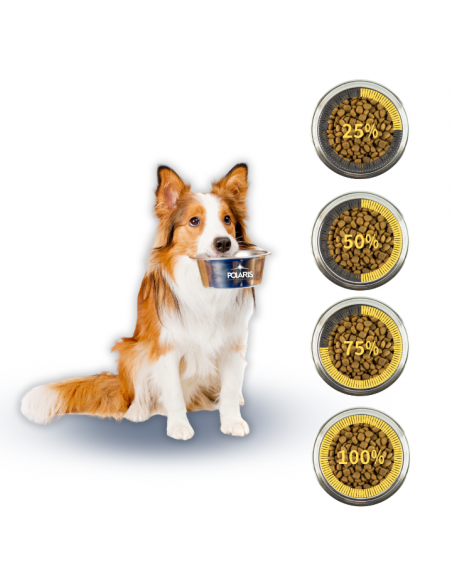 Mokra karma dla psa Polaris 20 x 400 g, wołowina +  jagnięcina 8595606409446 8