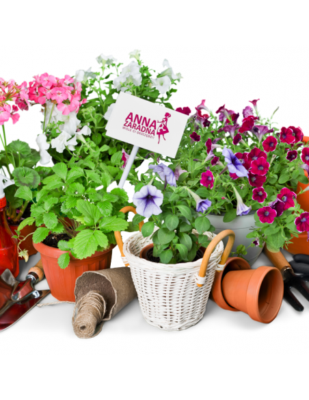 Damskie rękawice ogrodowe, mix wzorów Anna Zaradna rozmiar M 5903936035885 7