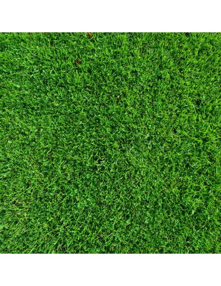 Elektryczny aerator-wertykulator NAC SCE200-40-W 2000W 40 cm 55L 5905842524064 12