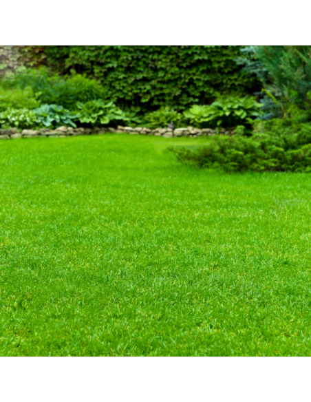 Elektryczny aerator-wertykulator NAC SCE200-40-W 2000W 40 cm 55L 5905842524064 13