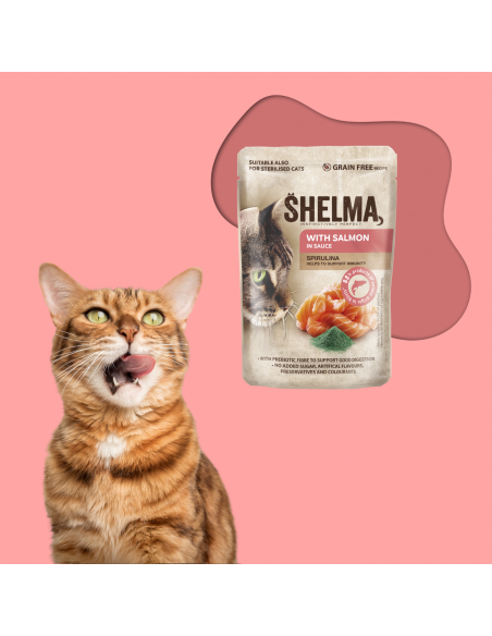 Bezzbożowa mokra karma dla kota bogata w łososia w sosie Shelma 85g 8595606406667 2