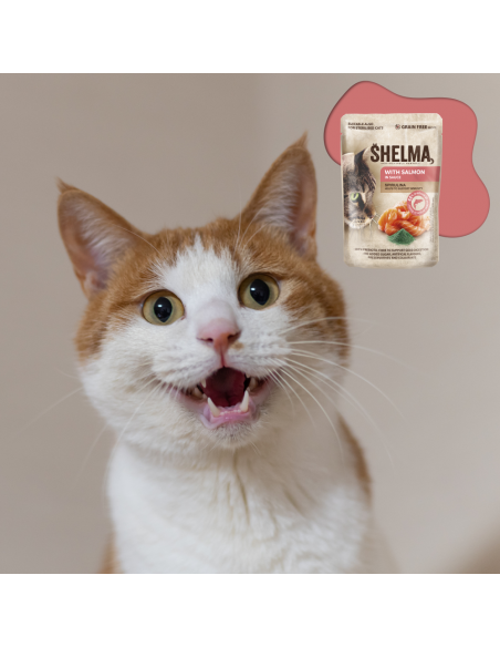 Bezzbożowa mokra karma dla kota bogata w łososia w sosie Shelma 85g 8595606406667 3