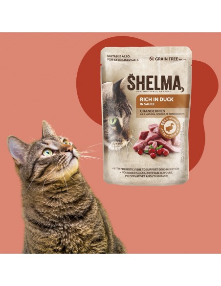 Bezzbożowa mokra karma dla kota bogata w kaczkę w sosie Shelma 85g 8595606406681 2