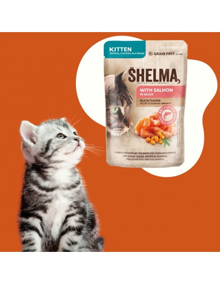 Bezzbożowa mokra karma dla kociąt bogata w łososia w sosie Shelma 85g 8595606406964 4